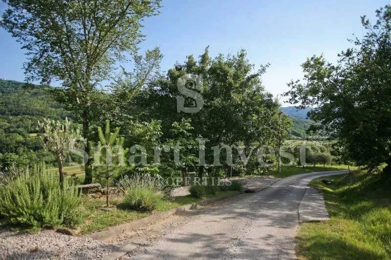 motovun, ekološko imanje s izvorom vode, bazenom, maslinikom i voćnjakom - slika 44