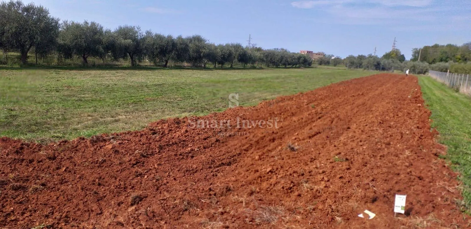 umag, prodaje se zemljište sa starim maslinama ***ekskluzivno samo kod nas*** - slika 2