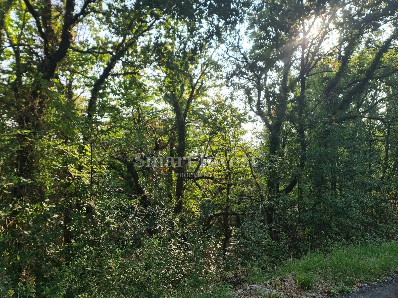 obrš, zemljište s pogledom na more! - slika 6