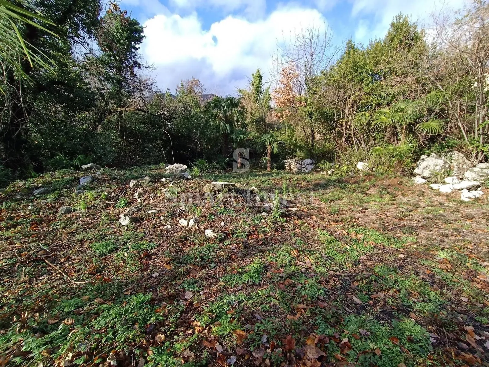 pobri, građevinsko zemljište od 1832 m2 s pogledom na more! - slika 2