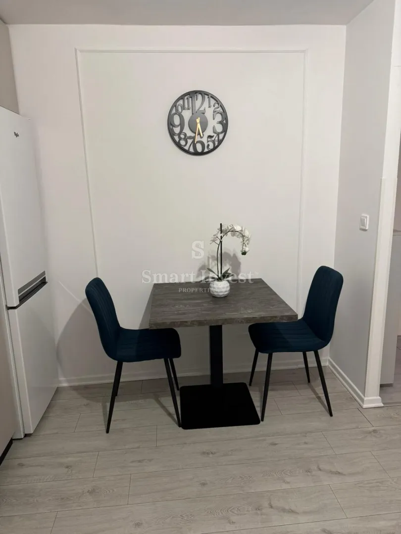 zamet, iznajmljuje se novouređen stan od 20 m2 - slika 5