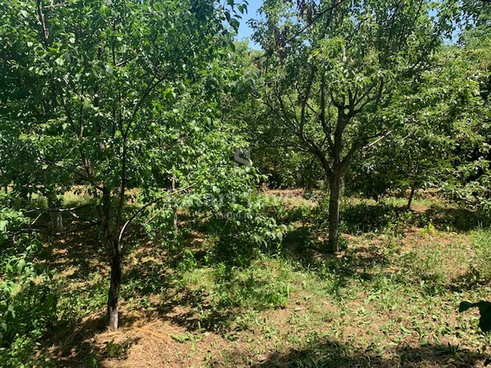 IČIĆI - POLJANE, građevinsko zemljište od 2320 m2 na lijepoj i mirnoj lokaciji - Poljane, Opatija