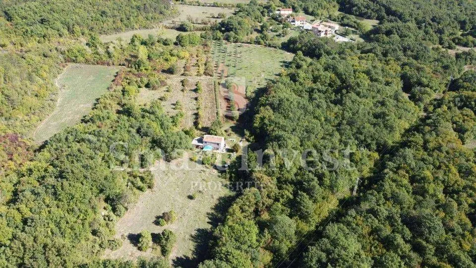 rabac - istra, imanje 27800 m2 s kamenom kućom samo 4 km od mora! - slika 6