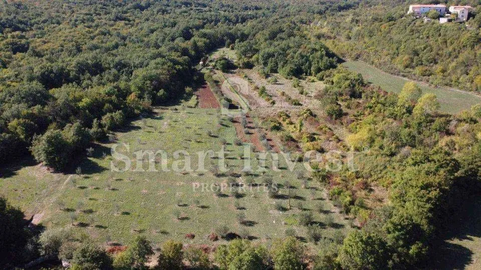 rabac - istra, imanje 27800 m2 s kamenom kućom samo 4 km od mora! - slika 8