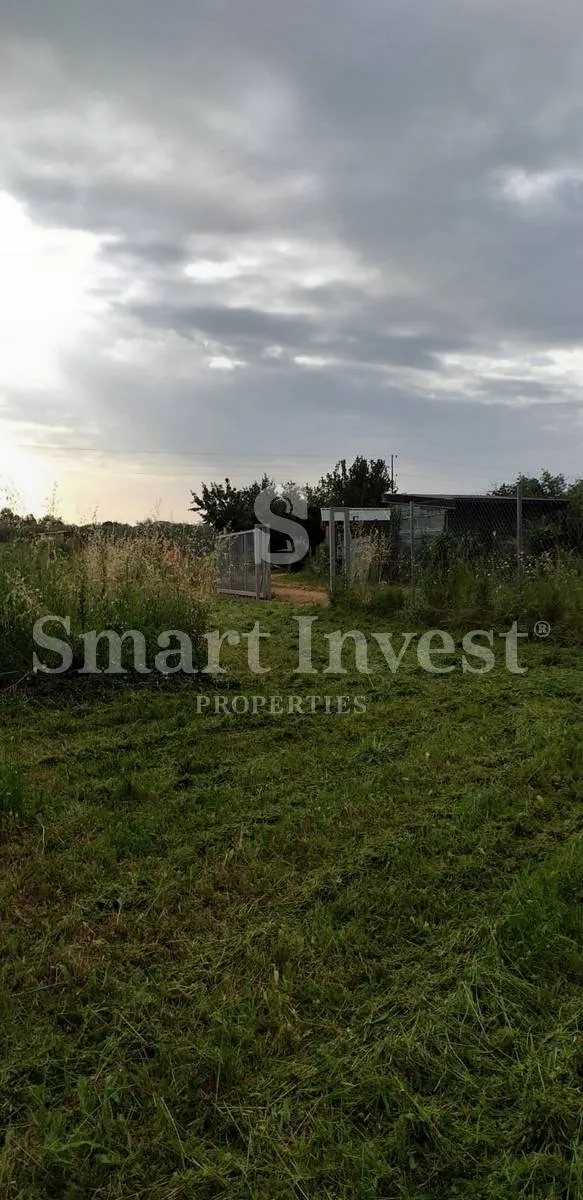 umag, prodaje se zemljište sa starim maslinama ***ekskluzivno samo kod nas*** - slika 6