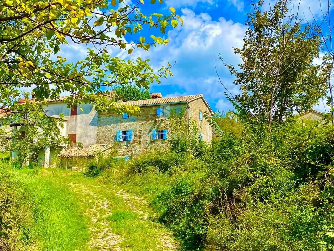 istra - cerovlje, obnovljena kuća s maslinikom - slika 5
