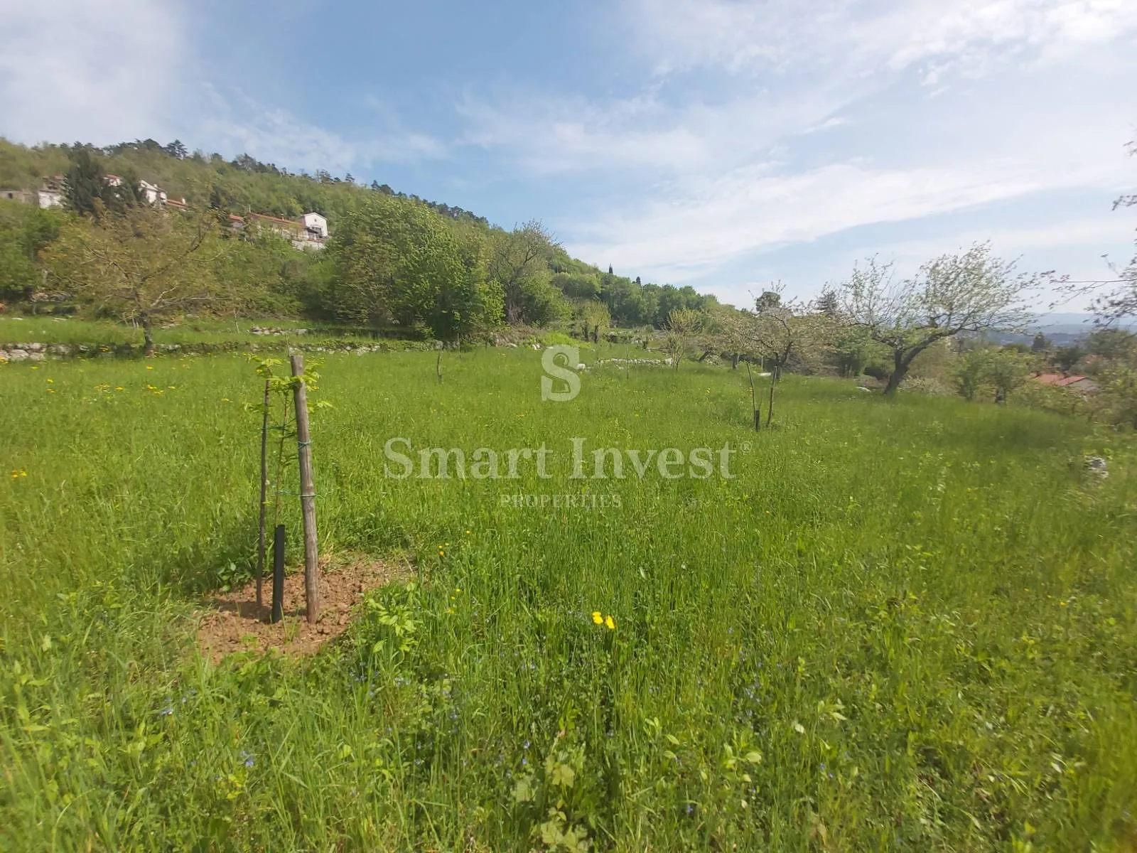 rukavac, kuća s 5.500 m2 okućnice - slika 6