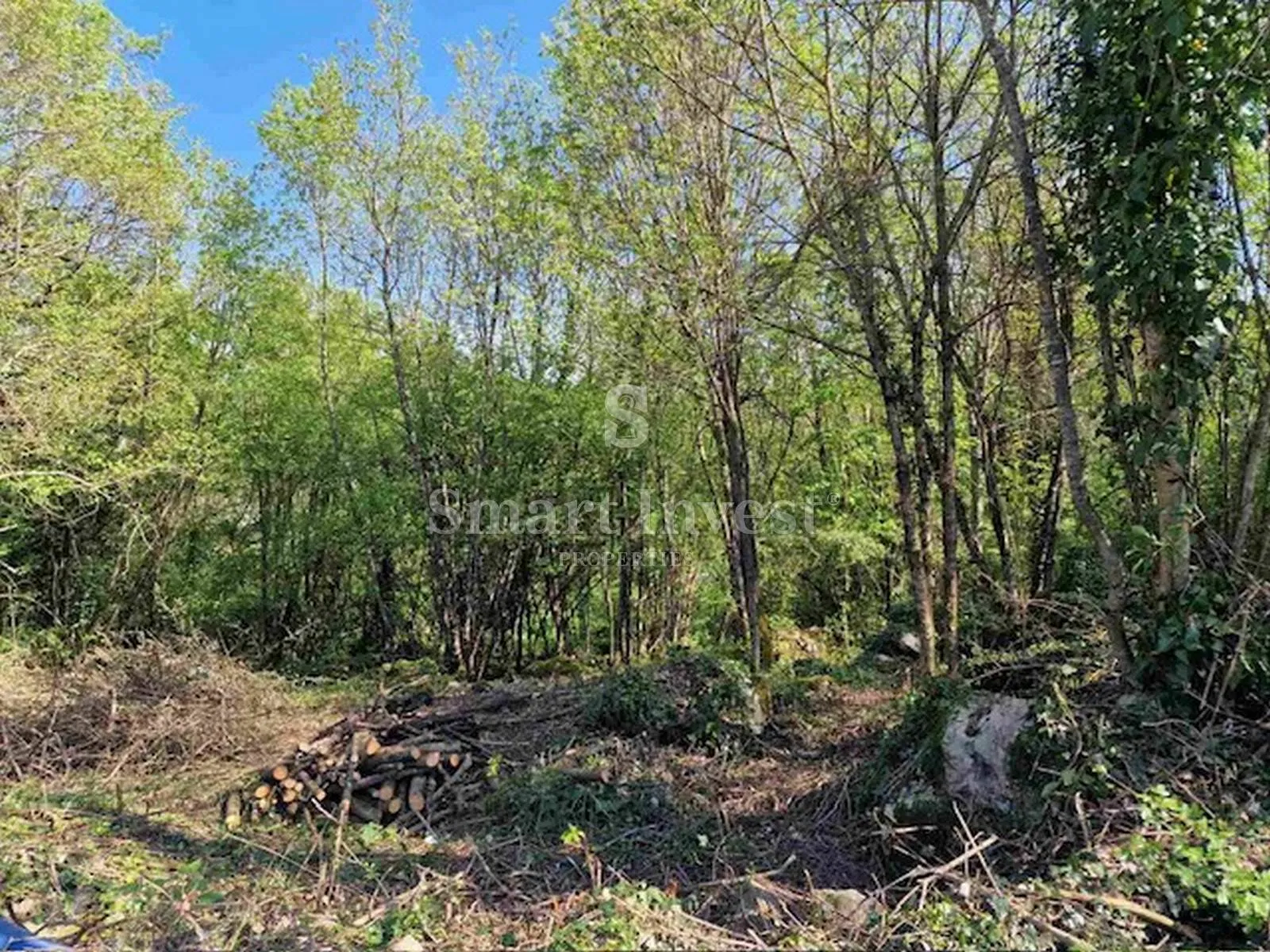 veli brgud, zemljište od 1583 m2 - slika 5