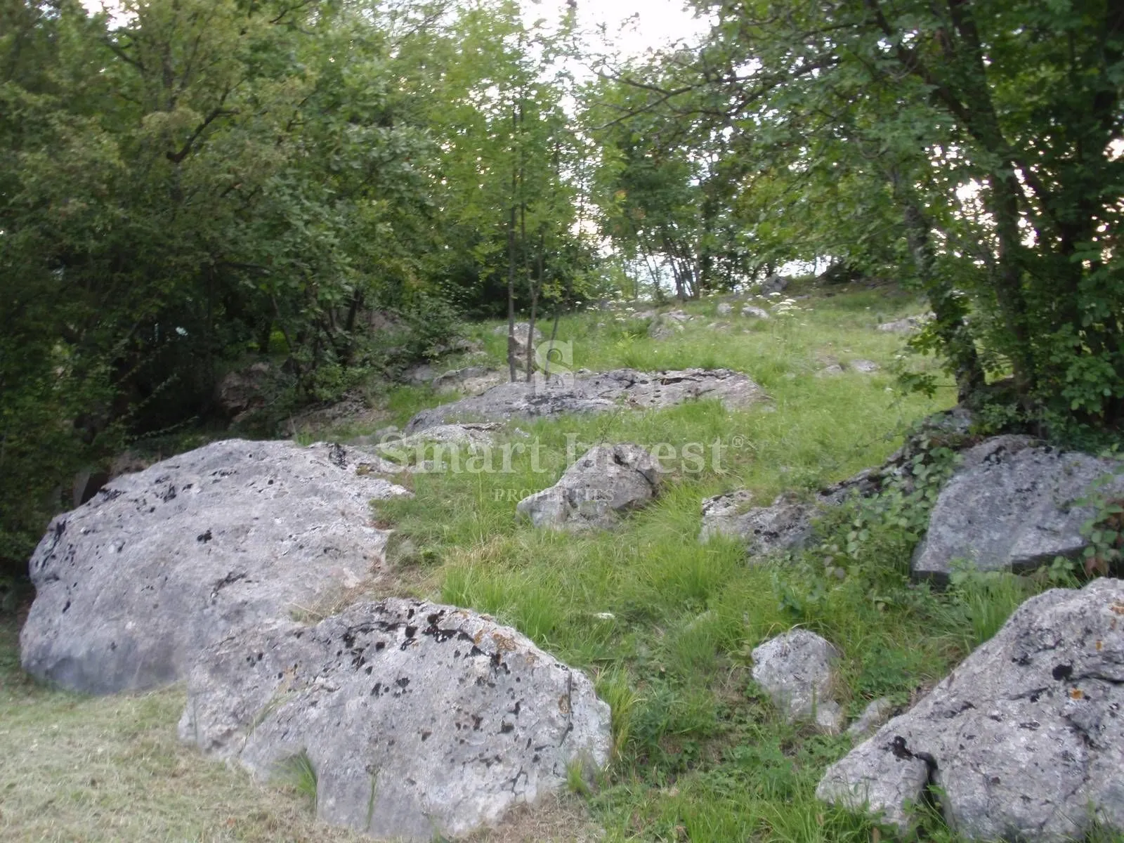matulji, zemljište od 7.117 m2 - slika 4