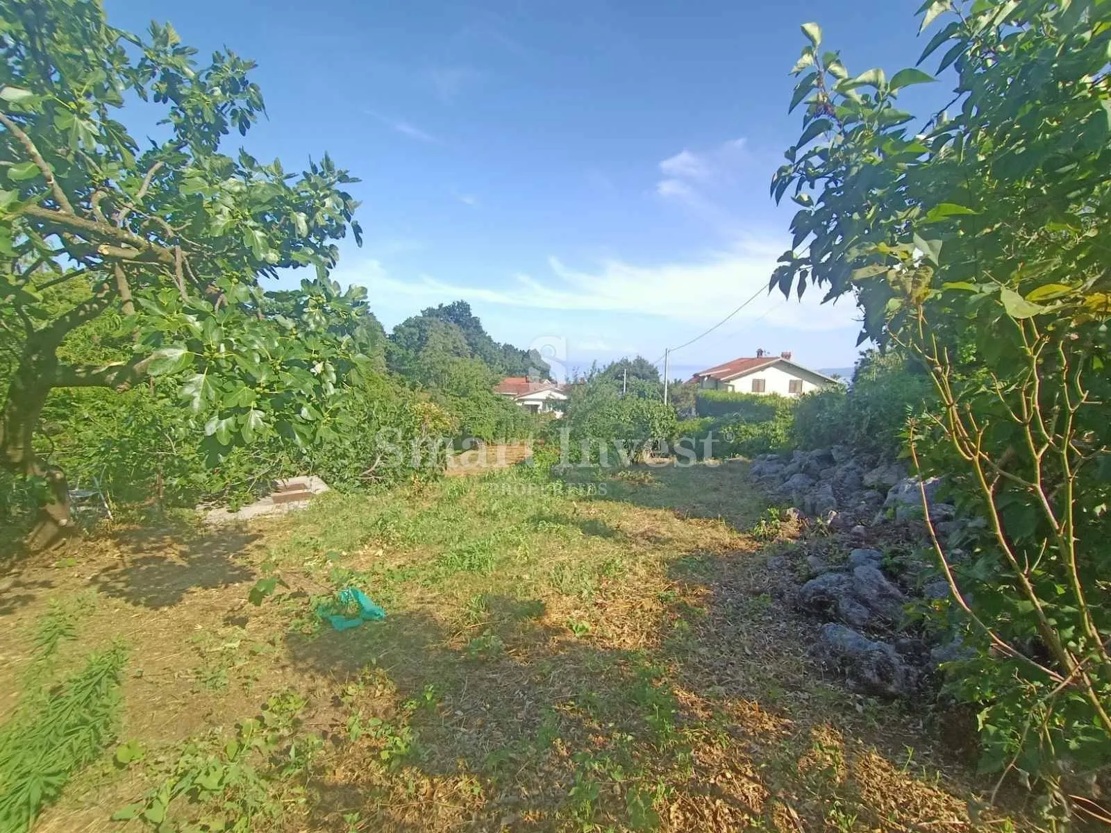 poljane, zemljište od 1260 m2 sa starinom i pogledom na more - slika 10