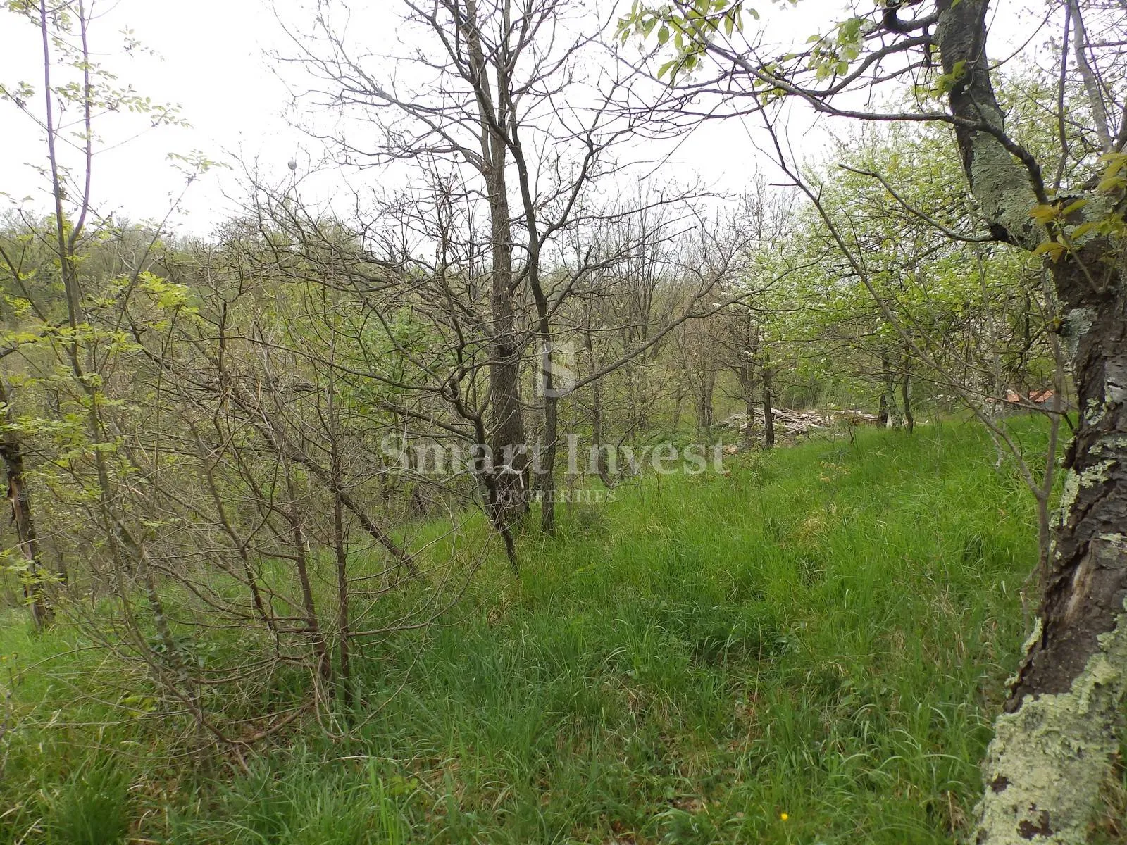 viškovo - kosi, građevinski teren od 5144 m2 - slika 5