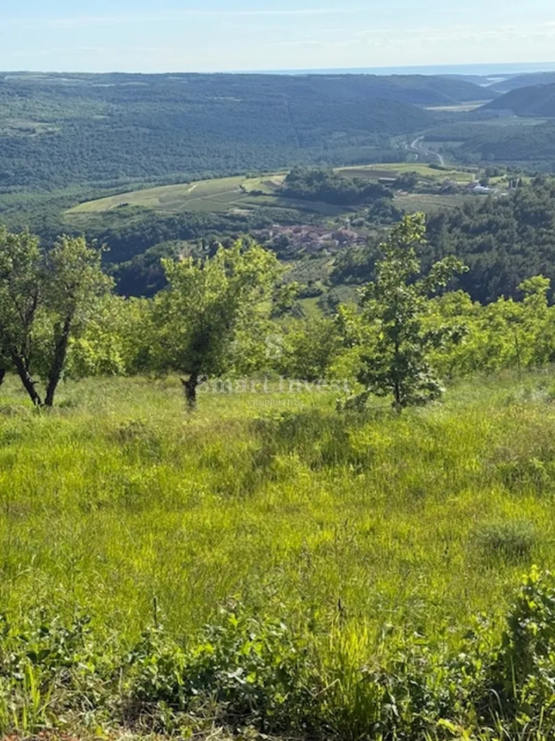 istra - završje, prekrasan teren od 1508 m2, sa idejnim projektom - slika 7