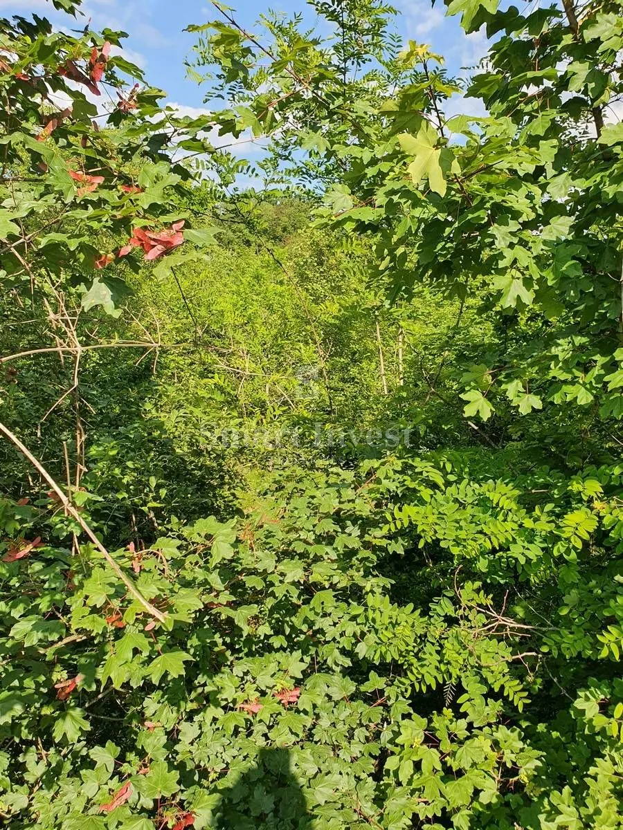matulji - permani, zemljište od 6.422 m2 s građevinskom dozvolom za gradnju hale! - slika 4