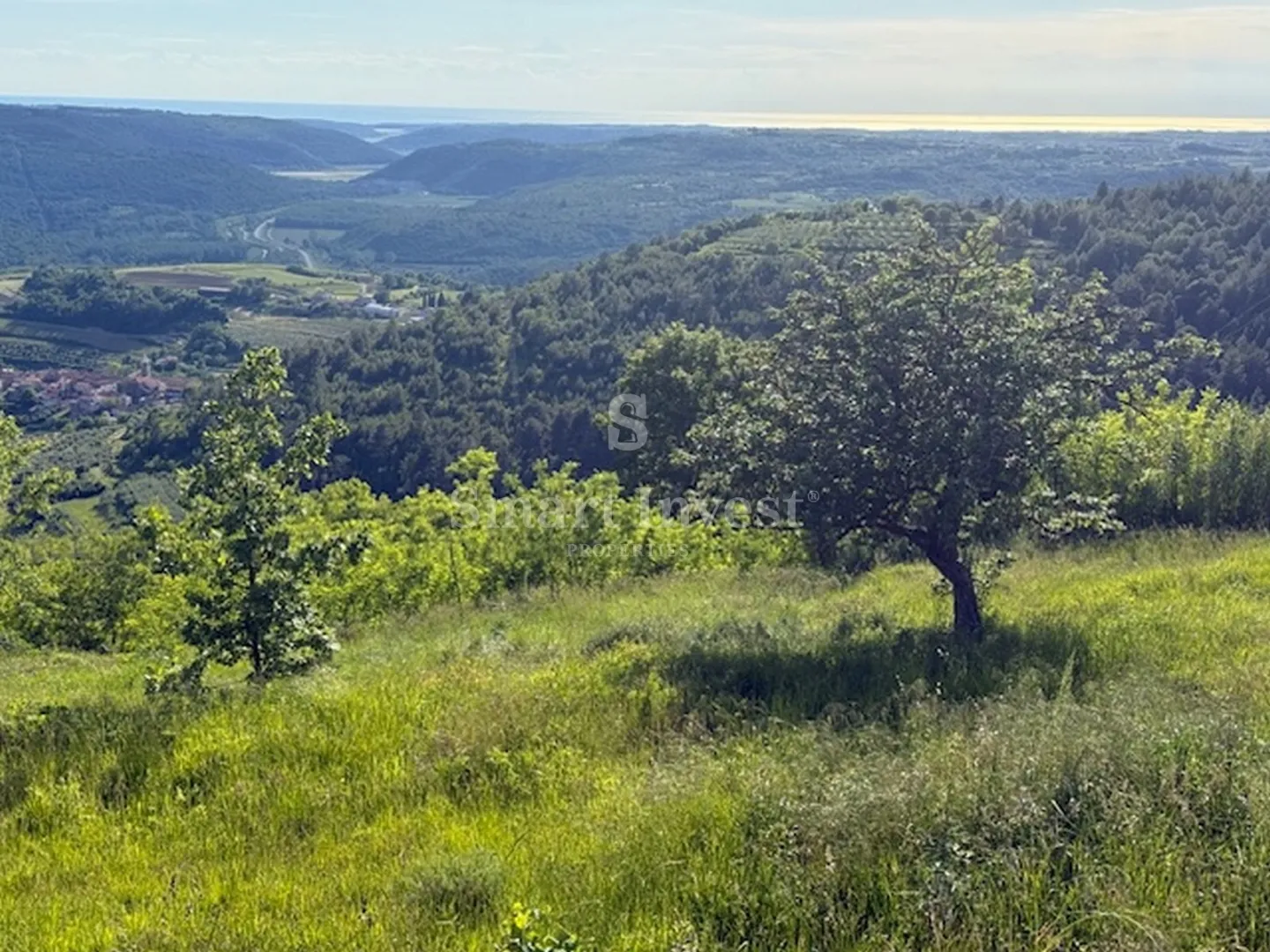 istra - završje, prekrasan teren od 1989 m2, sa idejnim projektom - slika 8