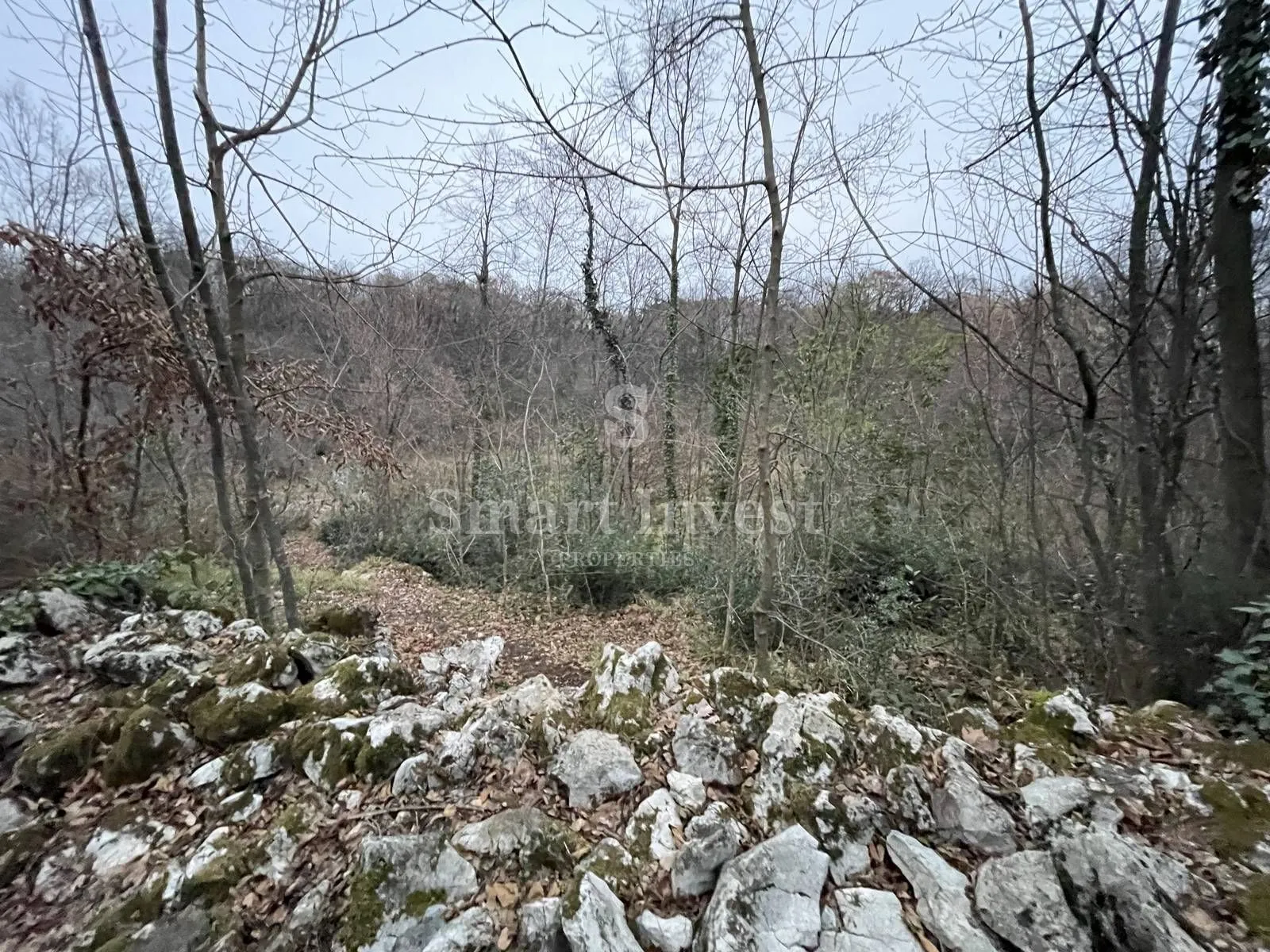 matulji, teren od 4936 m2 - slika 6