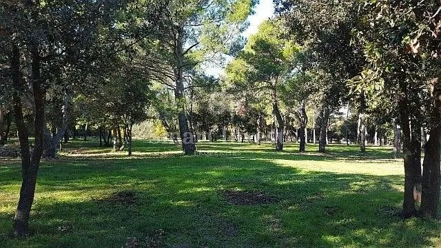 rovinj, zemljište u turističkoj zoni (t1, t2, t3) - slika 15