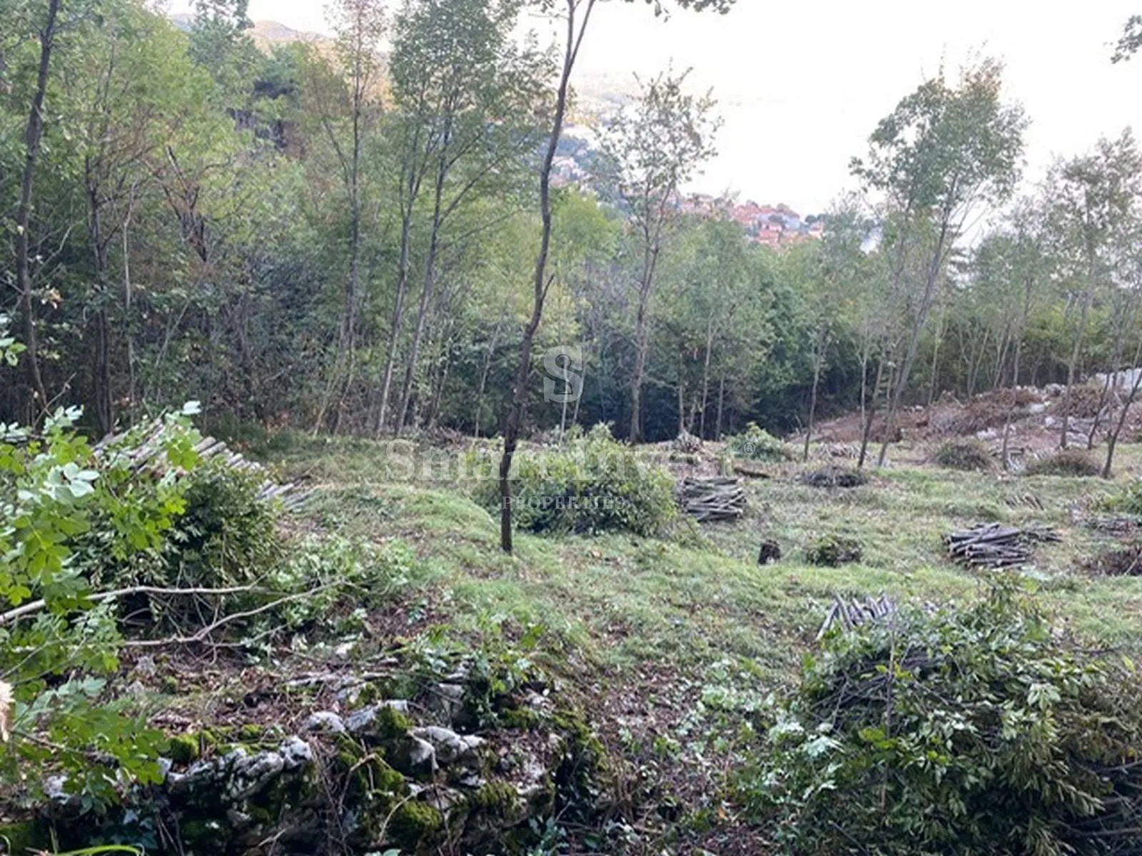 lovran, građevinsko zemljište od 3055 m2 s pogledom na more - slika 4