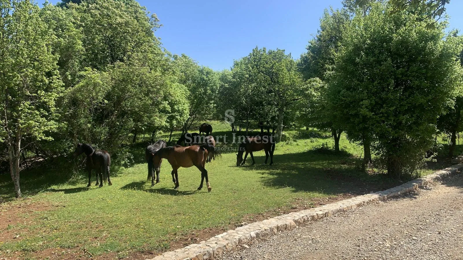 opatijska riviera, jedinstveni kompleks vila na 54000 m2 - slika 24