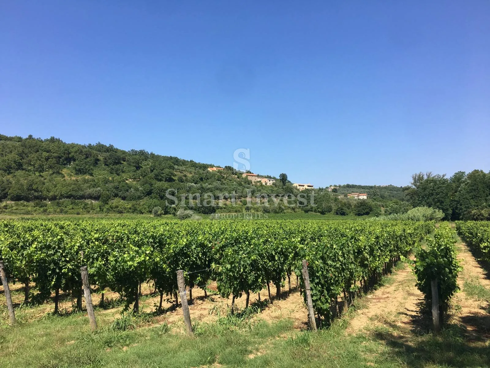 buje - momjan, starina sa zemljištem površine 16.691 m2 - slika 8