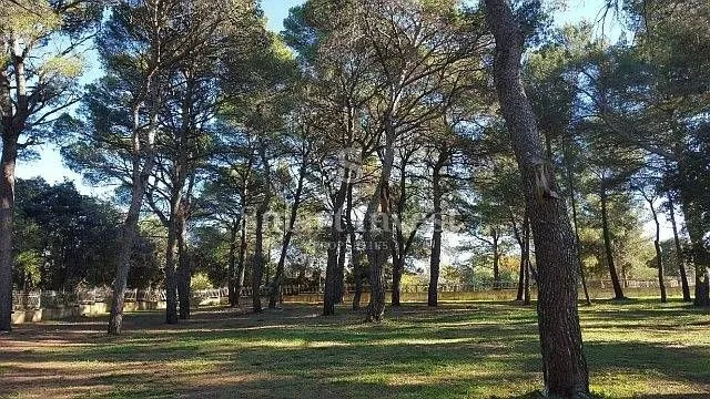 rovinj, zemljište u turističkoj zoni (t1, t2, t3) - slika 12