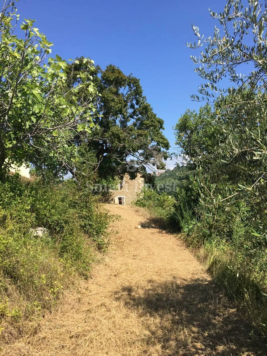 buje - momjan, starina sa zemljištem površine 16.691 m2 - slika 8