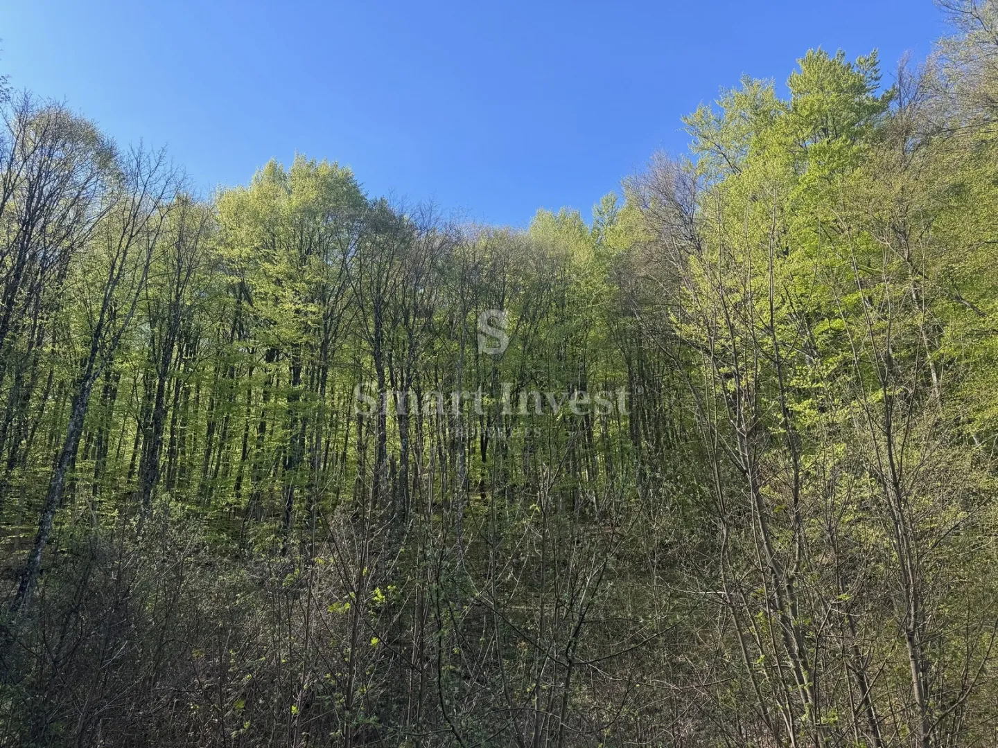 učka, teren od 4161 m2 sa ishodovanom građevinskom dozvolom - slika 6