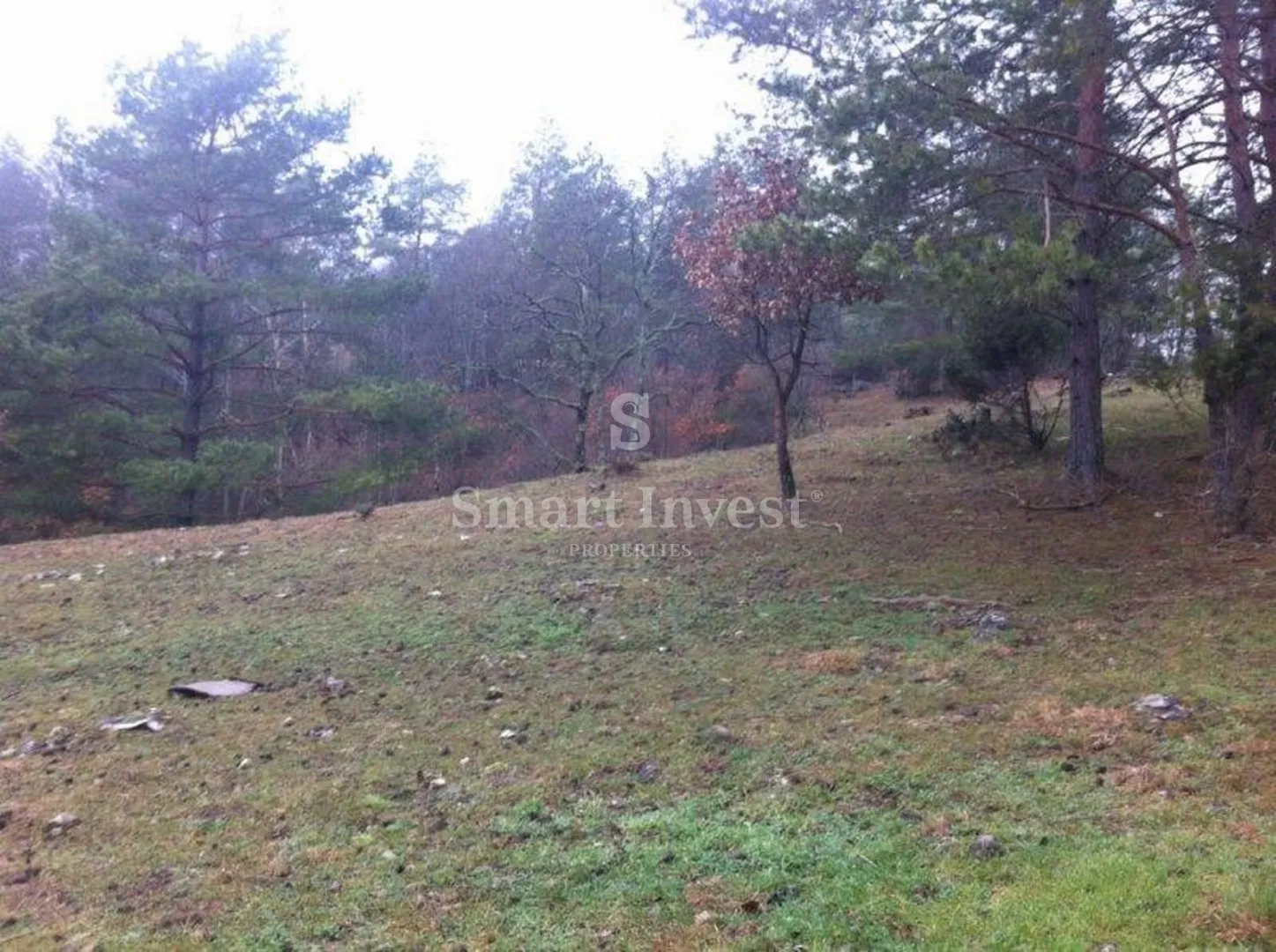 rupa, negrađevinski teren od 16.000 m2 - slika 4