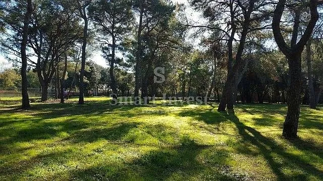 rovinj, zemljište u turističkoj zoni (t1, t2, t3) - slika 14