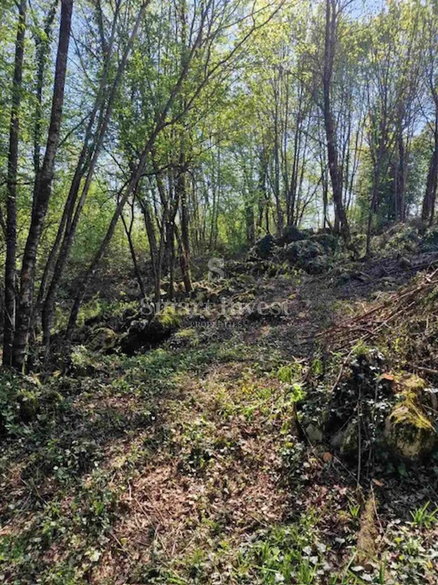 veli brgud, zemljište od 1583 m2 - slika 6