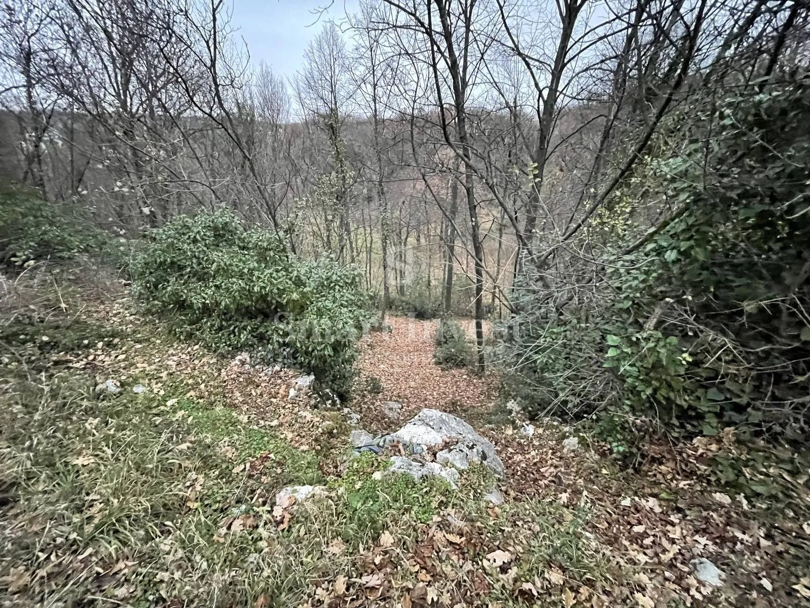 matulji, teren od 4936 m2 - slika 2