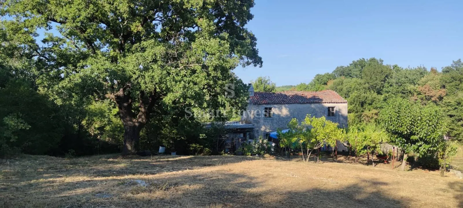 Rabac - Istra, Imanje 27800 M2 S Kamenom Kućom Samo 4 Km Od Mora! - Rabac, Labin