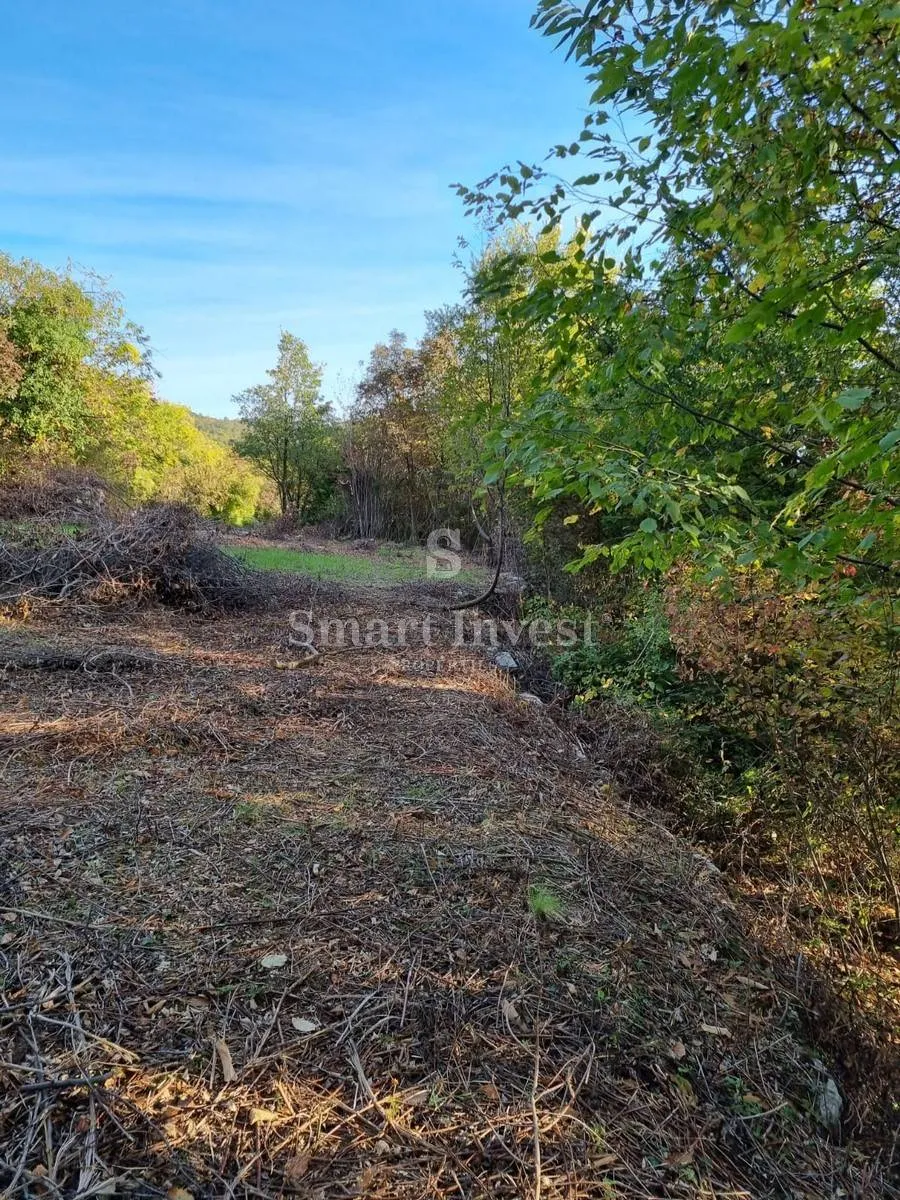poljane, teren od 17.500 m2 - slika 2