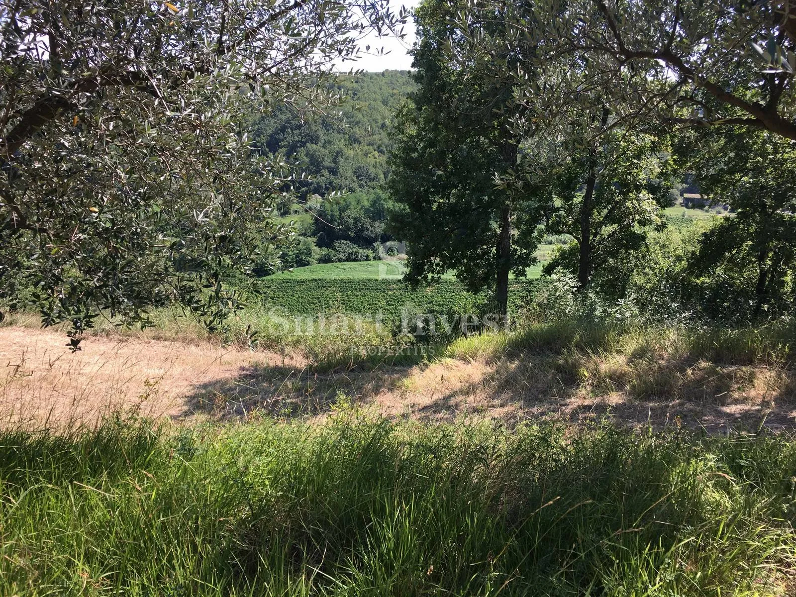 buje - momjan, starina sa zemljištem površine 16.691 m2 - slika 9