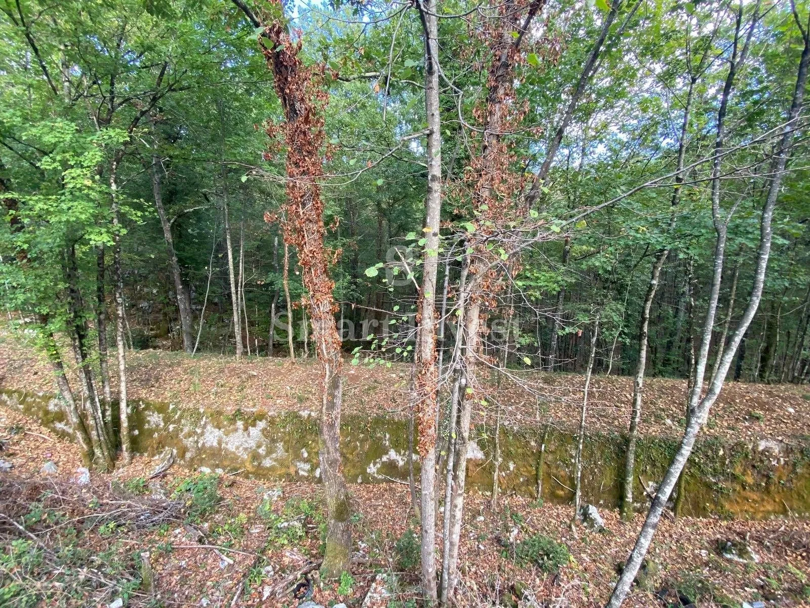 permani - matulji, zemljište za stambenu-poslovnu gradnju od 9645 m2 - slika 5