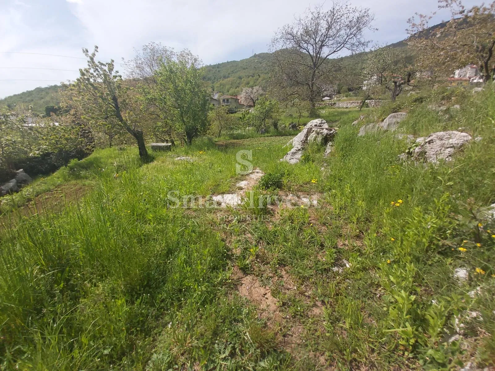 rukavac, kuća s 5.500 m2 okućnice - slika 2