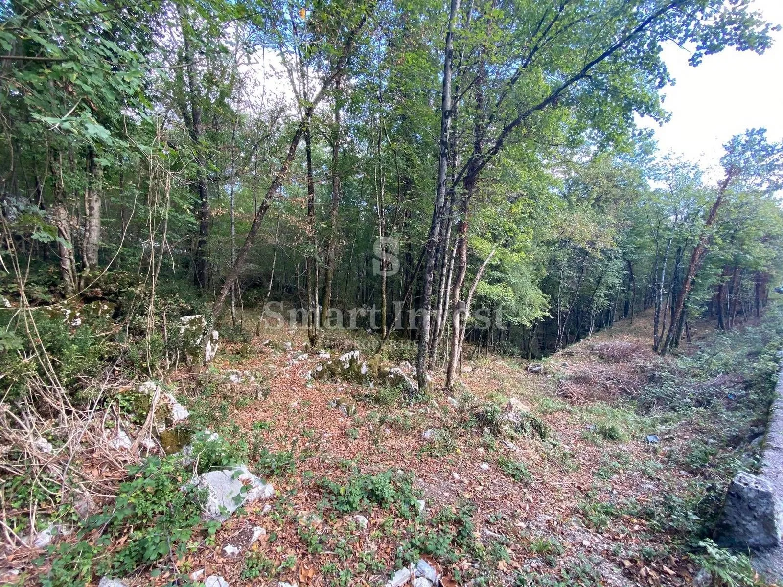 permani - matulji, zemljište za stambenu-poslovnu gradnju od 9645 m2 - slika 6