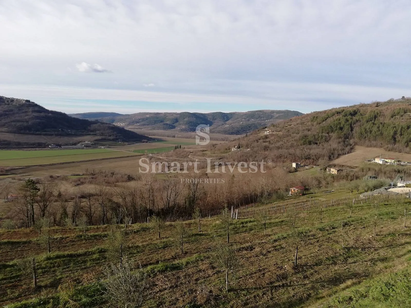 motovun, zemljište od 53940 m2 - slika 2