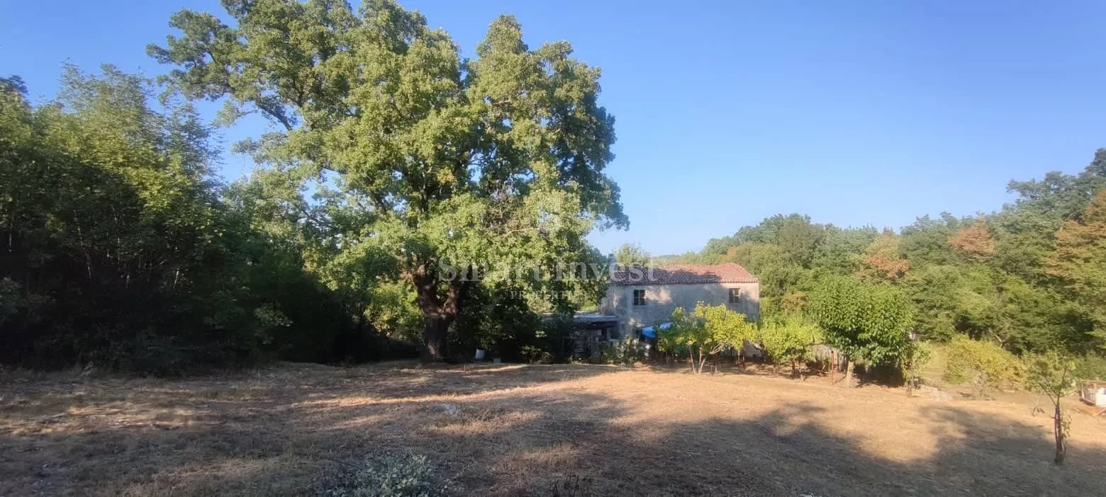 rabac - istra, imanje 27800 m2 s kamenom kućom samo 4 km od mora! - slika 5
