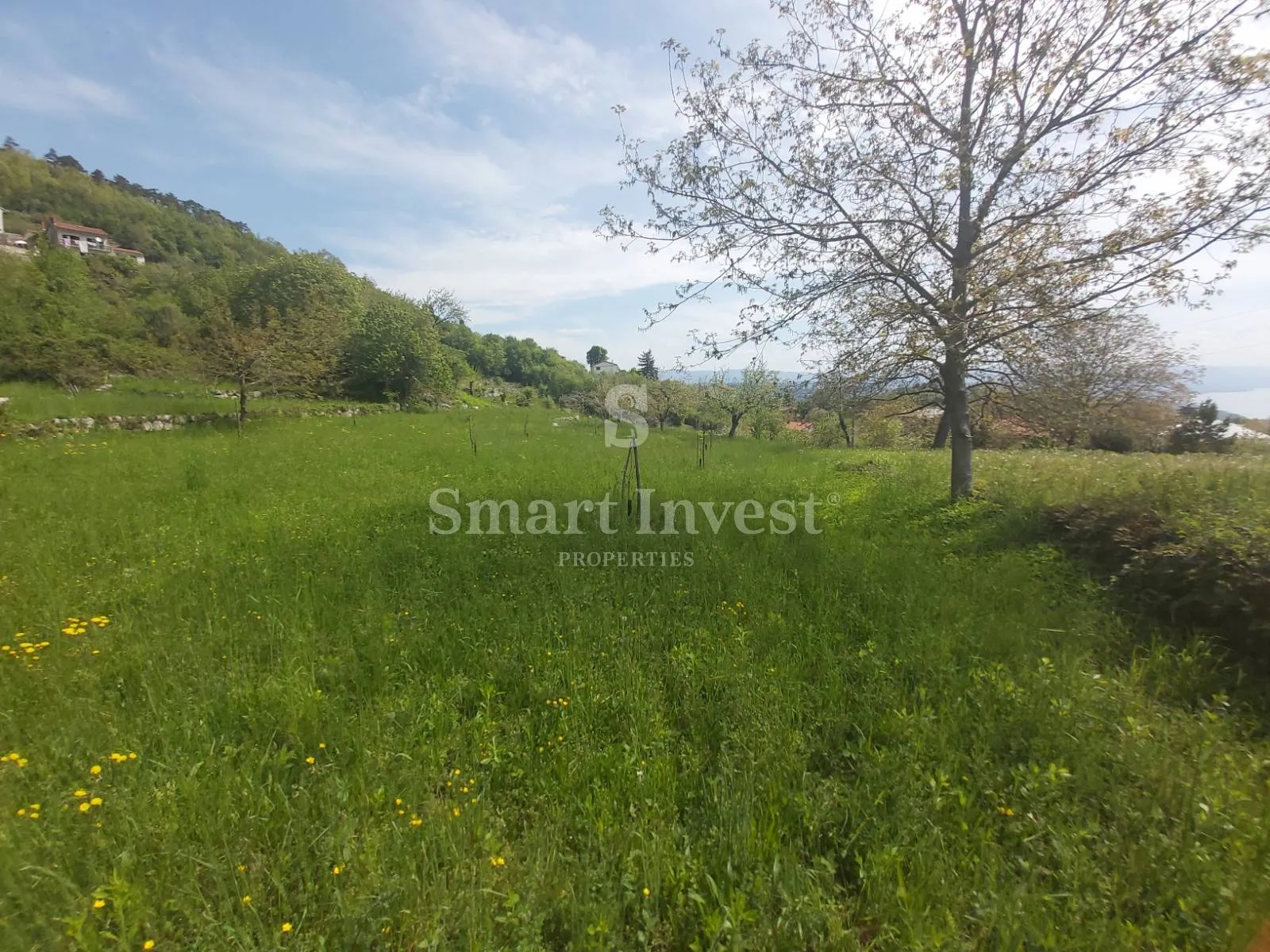 rukavac, kuća s 5.500 m2 okućnice - slika 7