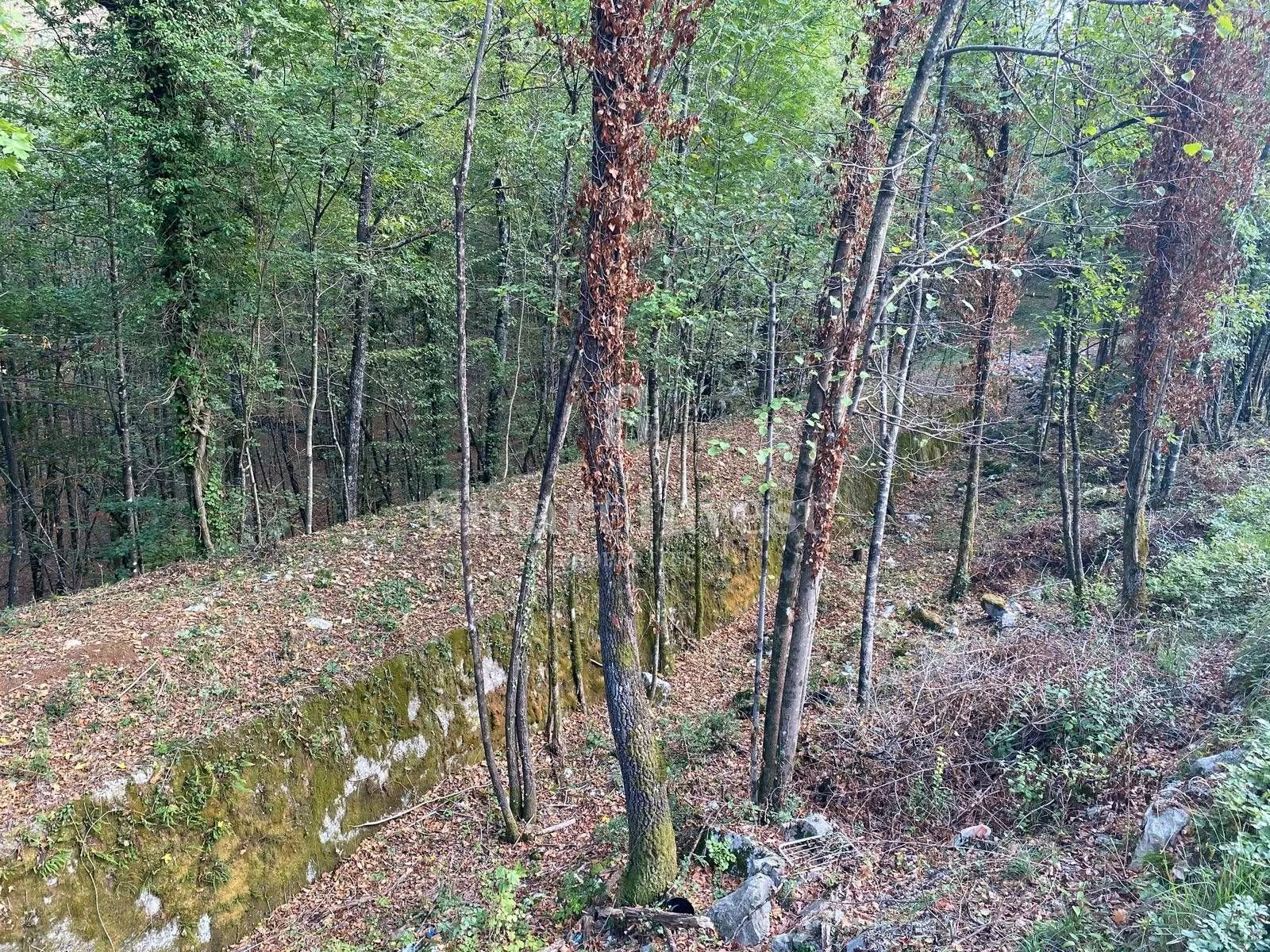permani - matulji, zemljište za stambenu-poslovnu gradnju od 9645 m2 - slika 4