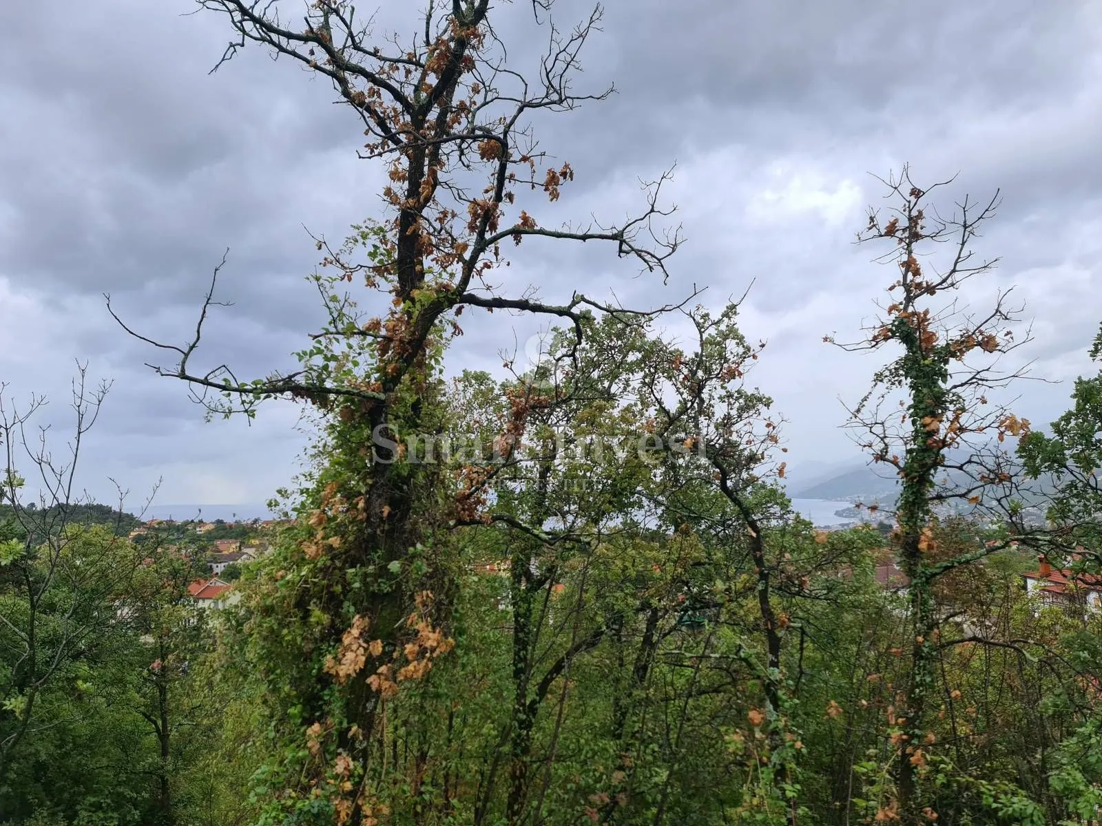 kastav, građevinsko zemljište s pogledom na more! - slika 4