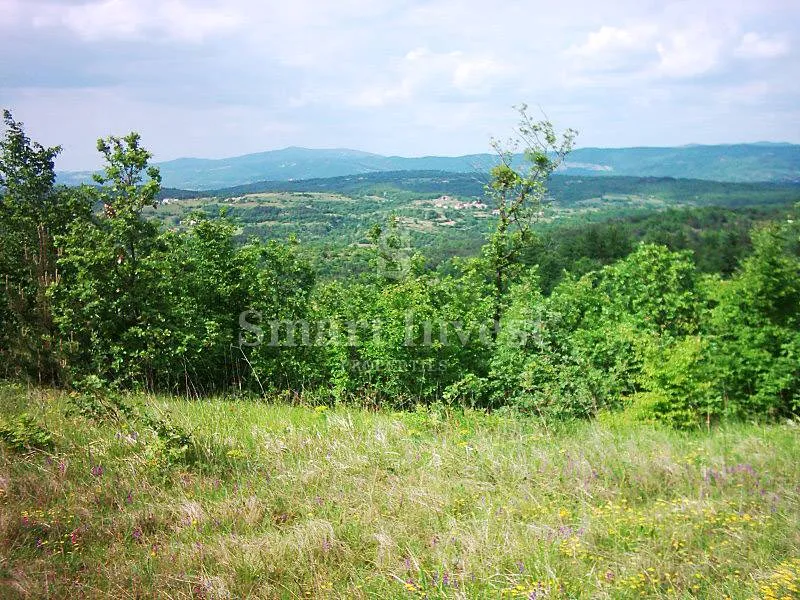 lupoglav, imanje od 83.294 m2 sa 4.500 građevinskog zemljišta - slika 14
