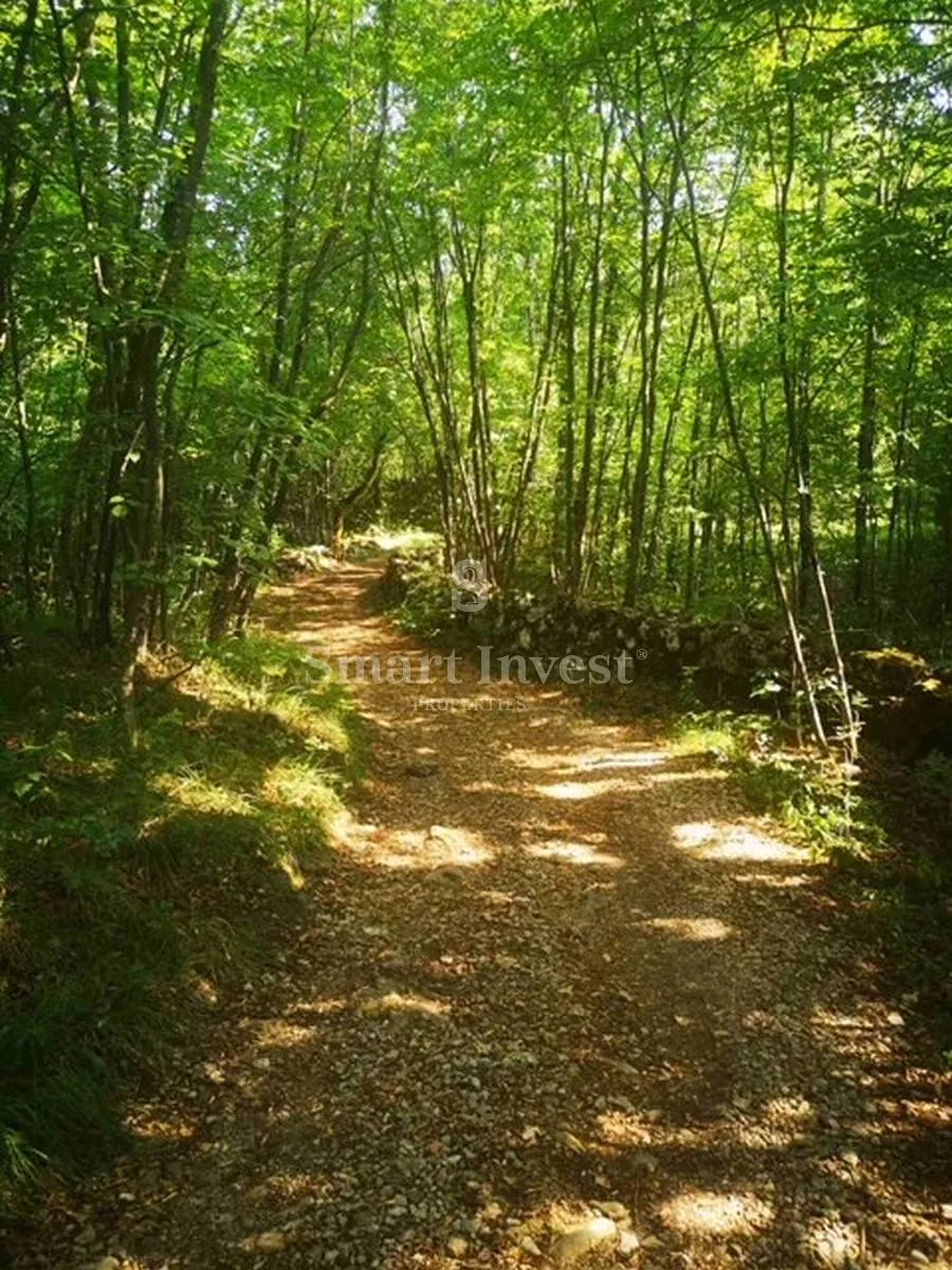 garići - viškovo, poljoprivredno zemljište od 6039 m2 - slika 2