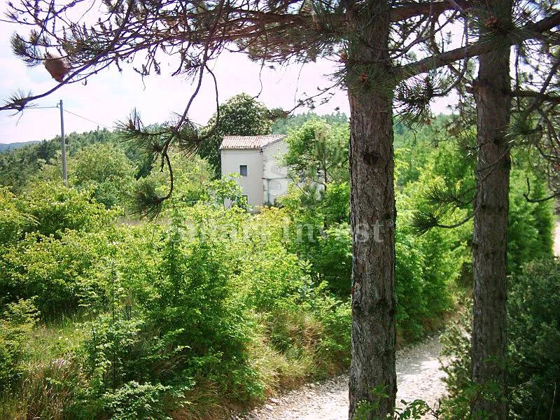 lupoglav, imanje od 83.294 m2 sa 4.500 građevinskog zemljišta - slika 10