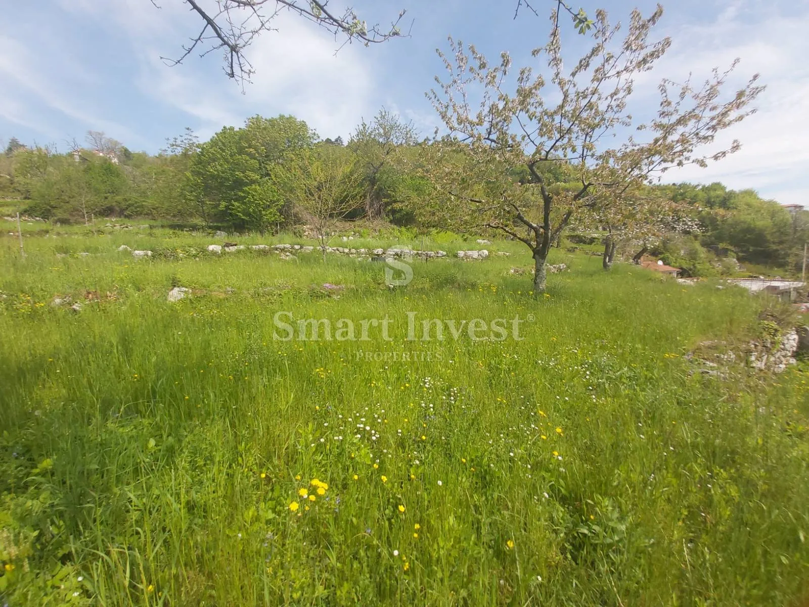 rukavac, kuća s 5.500 m2 okućnice - slika 4