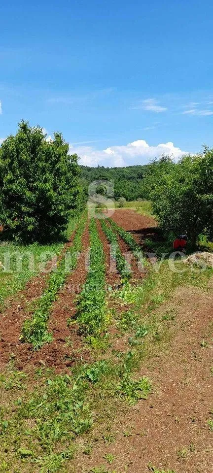 rabac - istra, imanje 27800 m2 s kamenom kućom samo 4 km od mora! - slika 11