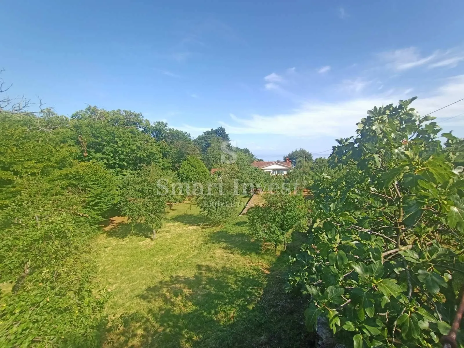 poljane, zemljište od 1260 m2 sa starinom i pogledom na more - slika 2