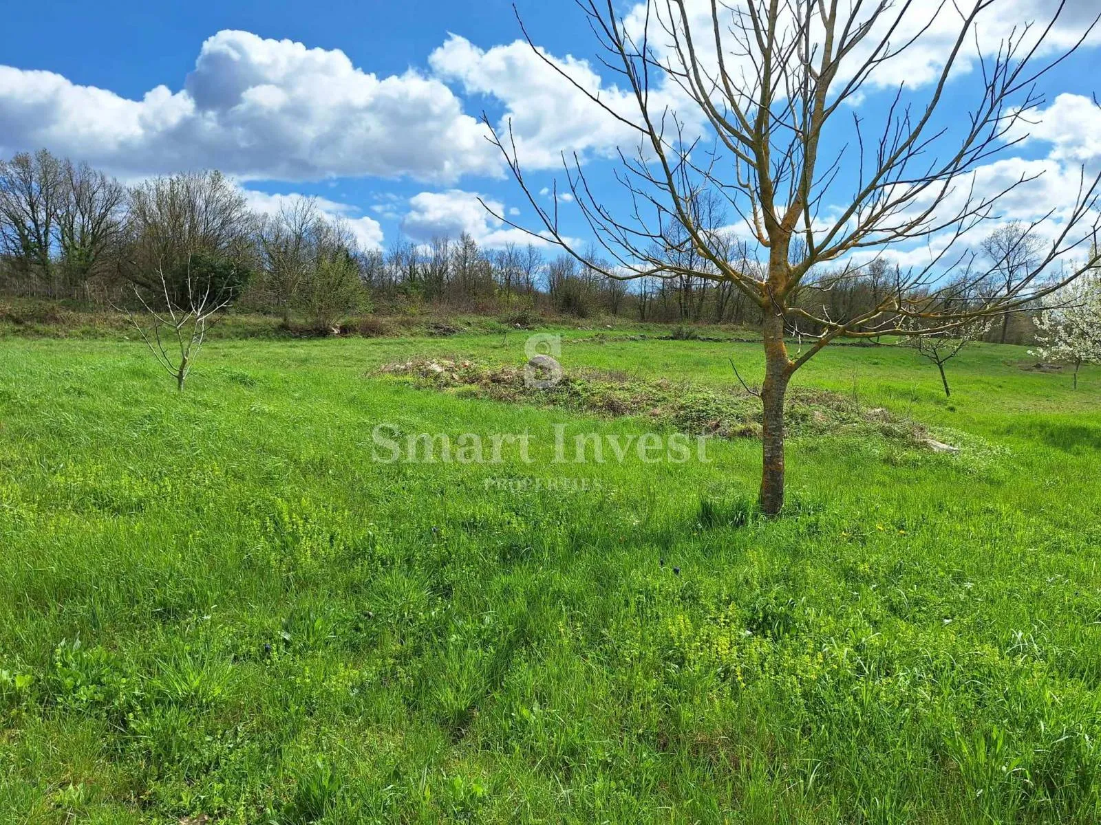 istra, labin - rabac, građ. zemljište 3951 m2 9km od mora - slika 2
