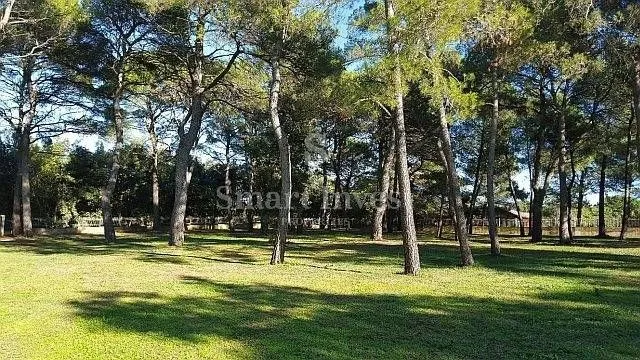 rovinj, zemljište u turističkoj zoni (t1, t2, t3) - slika 25