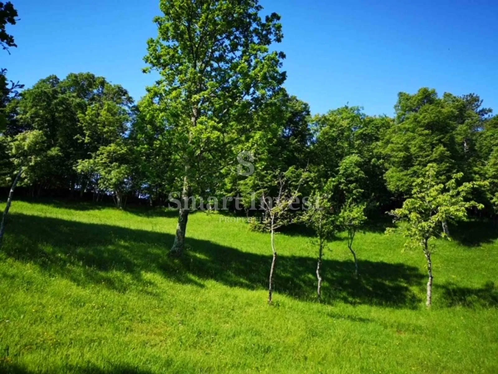 garići - viškovo, poljoprivredno zemljište od 6039 m2 - slika 10
